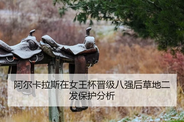 a-er-ka-la-si-zai-nv-wang-bei-jin-ji-ba-qiang-hou-cao-di-er-fa-bao-hu-fen-xi-2-139.jpg