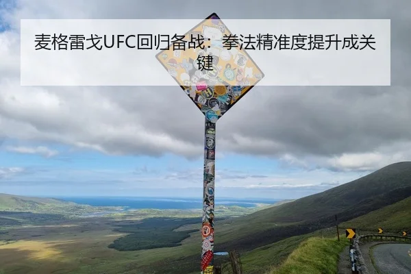麦格雷戈UFC回归备战：拳法精准度提升成关键